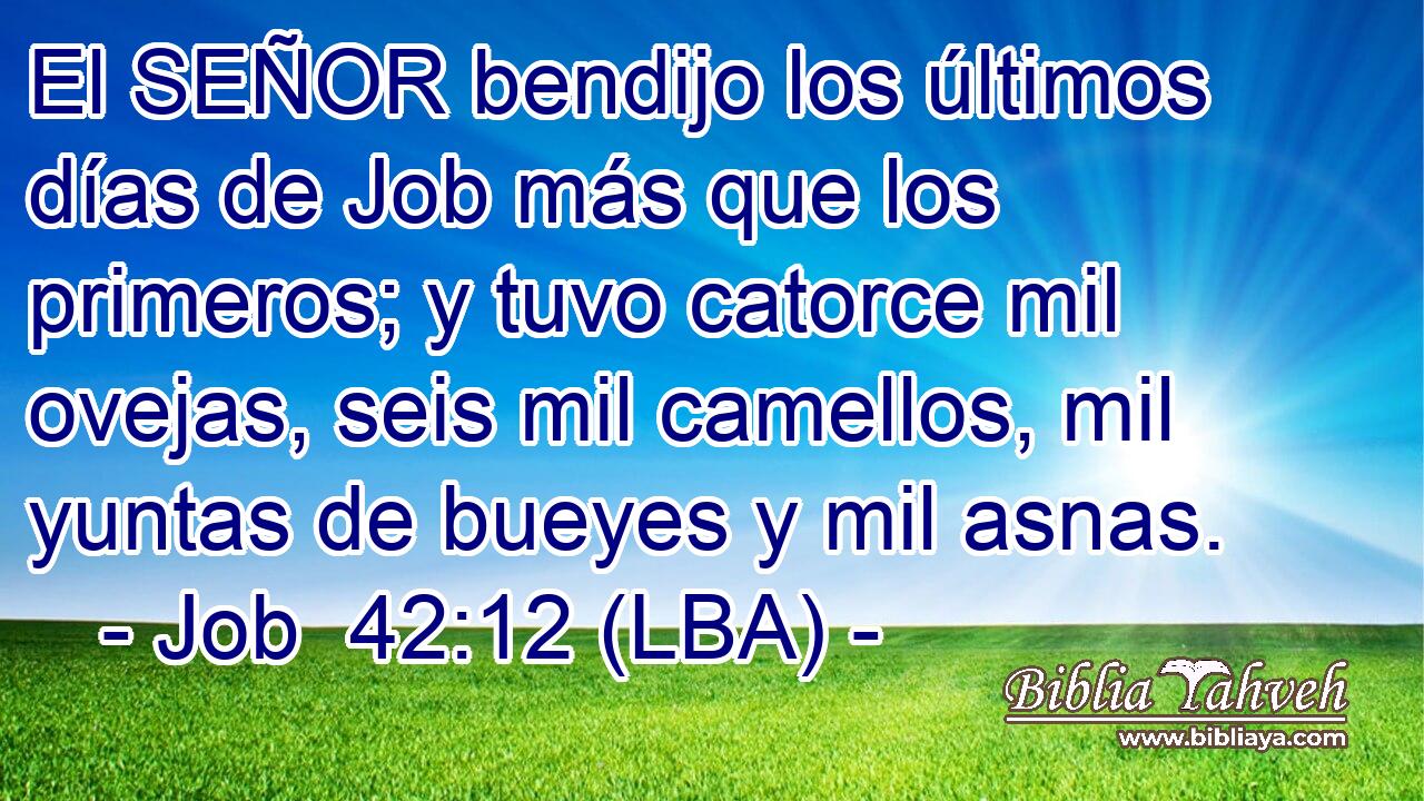 El SEÑOR bendijo los últimos días de Job más que los primeros; y tuvo catorce mil ovejas, seis mil camellos, mil yuntas de bueyes y mil asnas.