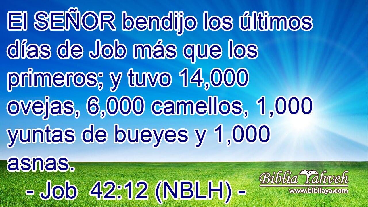  El SEÑOR bendijo los últimos días de Job más que los primeros; y tuvo 14,000 ovejas, 6,000 camellos, 1,000 yuntas de bueyes y 1,000 asnas. 
