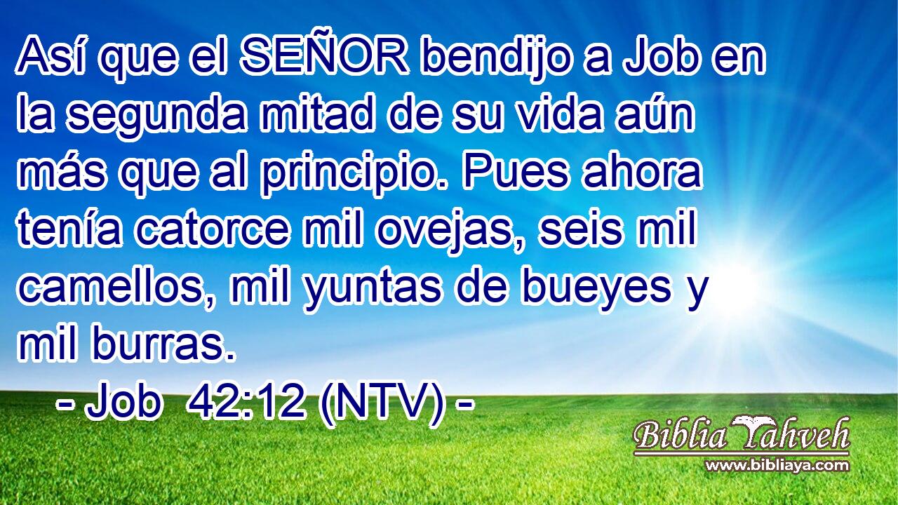 Así que el SEÑOR bendijo a Job en la segunda mitad de su vida aún más que al principio. Pues ahora tenía catorce mil ovejas, seis mil camellos, mil yuntas de bueyes y mil burras.