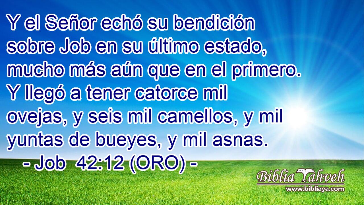  Y el Señor echó su bendición sobre Job en su último estado, mucho más aún que en el primero. Y llegó a tener catorce mil ovejas, y seis mil camellos, y mil yuntas de bueyes, y mil asnas. 