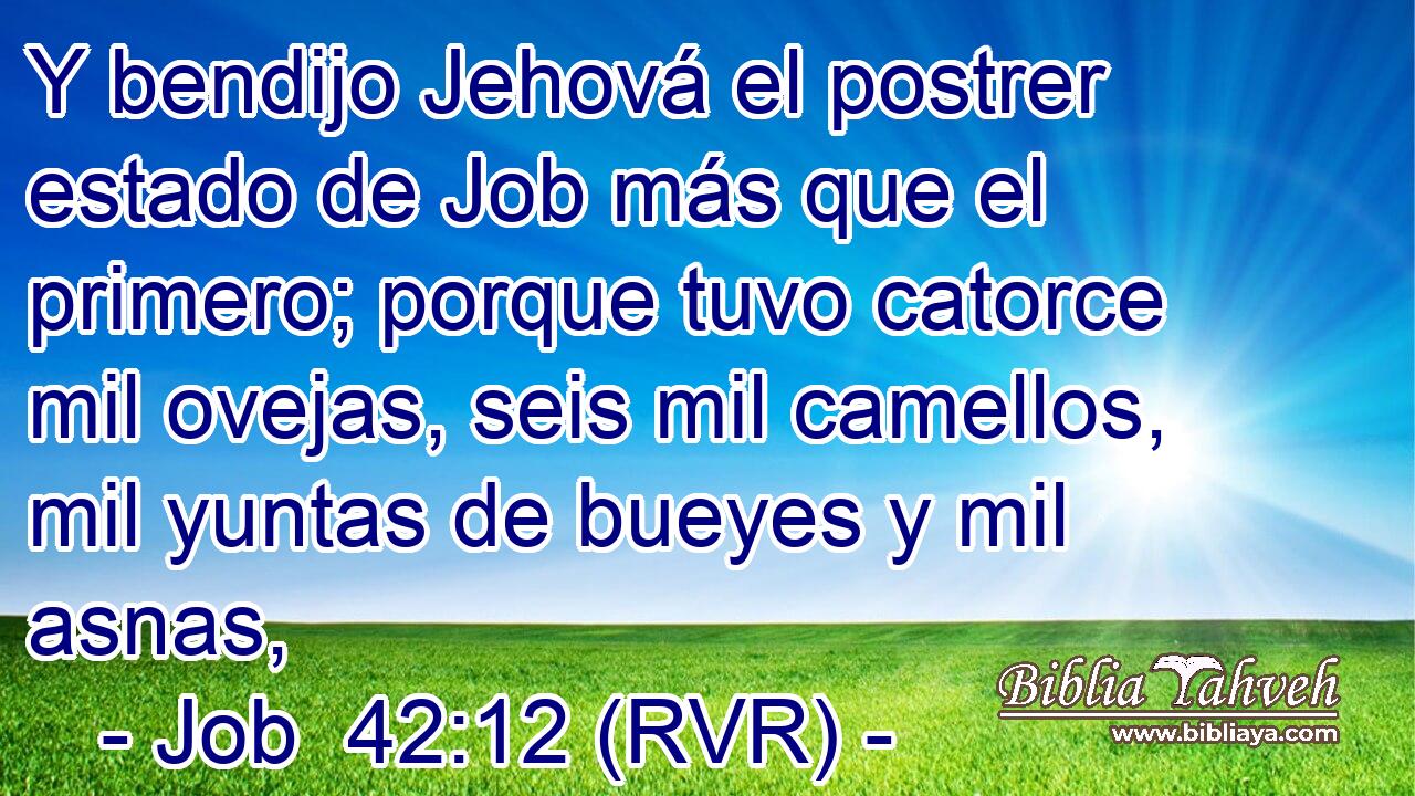 Y bendijo Jehová el postrer estado de Job más que el primero; porque tuvo catorce mil ovejas, seis mil camellos, mil yuntas de bueyes y mil asnas,