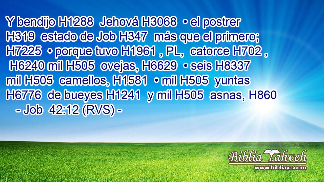 Y bendijo H1288  Jehová H3068  • el postrer H319  estado de Job H347  más que el primero; H7225  • porque tuvo H1961 , PL,  catorce H702 ,  H6240 mil H505  ovejas, H6629  • seis H8337  mil H505  camellos, H1581  • mil H505  yuntas H6776  de bueyes H1241  y mil H505  asnas, H860  