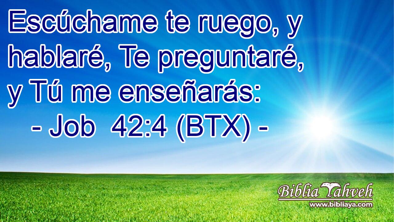 Escúchame te ruego, y hablaré, Te preguntaré, y Tú me enseñarás:
