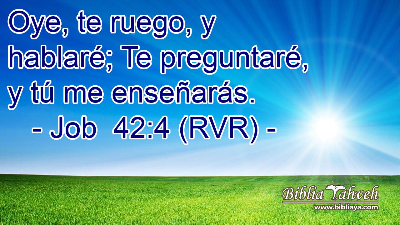 Oye, te ruego, y hablaré; Te preguntaré, y tú me enseñarás.