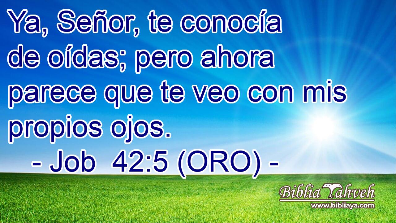  Ya, Señor, te conocía de oídas; pero ahora parece que te veo con mis propios ojos. 
