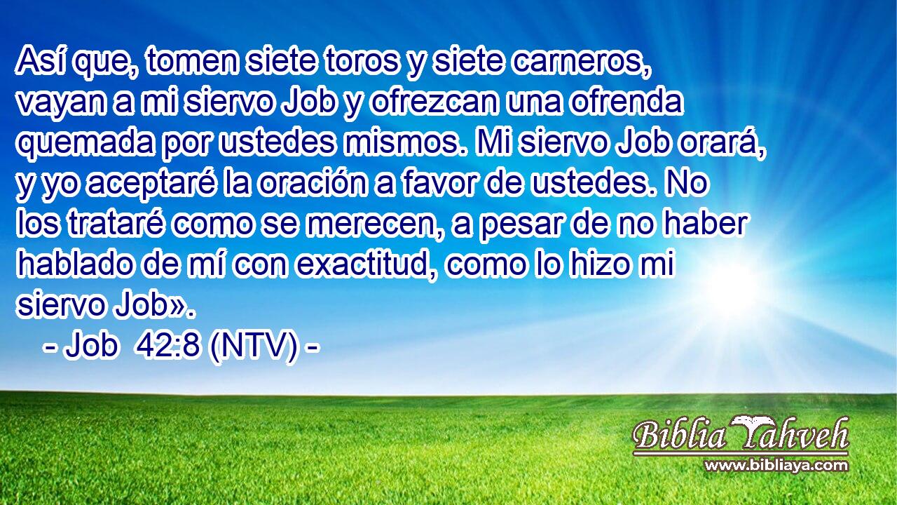 Así que, tomen siete toros y siete carneros, vayan a mi siervo Job y ofrezcan una ofrenda quemada por ustedes mismos. Mi siervo Job orará, y yo aceptaré la oración a favor de ustedes. No los trataré como se merecen, a pesar de no haber hablado de mí con exactitud, como lo hizo mi siervo Job».