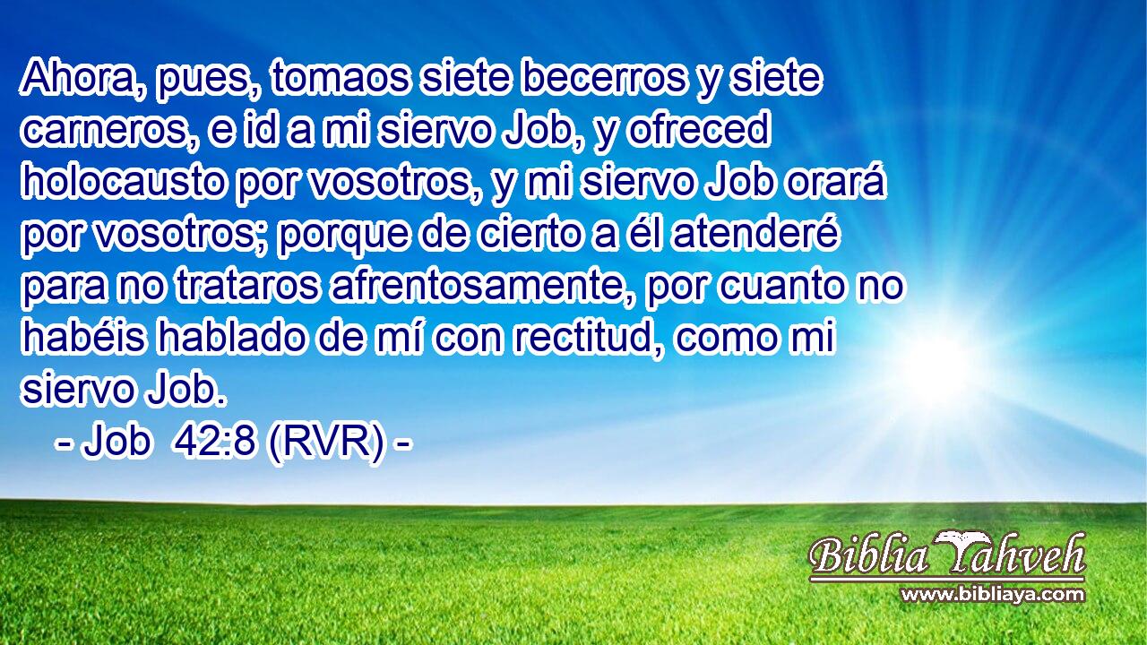 Ahora, pues, tomaos siete becerros y siete carneros, e id a mi siervo Job, y ofreced holocausto por vosotros, y mi siervo Job orará por vosotros; porque de cierto a él atenderé para no trataros afrentosamente, por cuanto no habéis hablado de mí con rectitud, como mi siervo Job.
