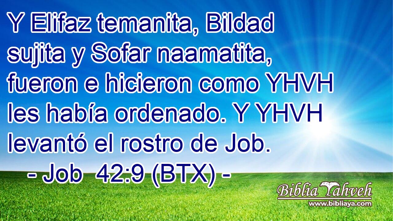 Y Elifaz temanita, Bildad sujita y Sofar naamatita, fueron e hicieron como YHVH les había ordenado. Y YHVH levantó el rostro de Job.