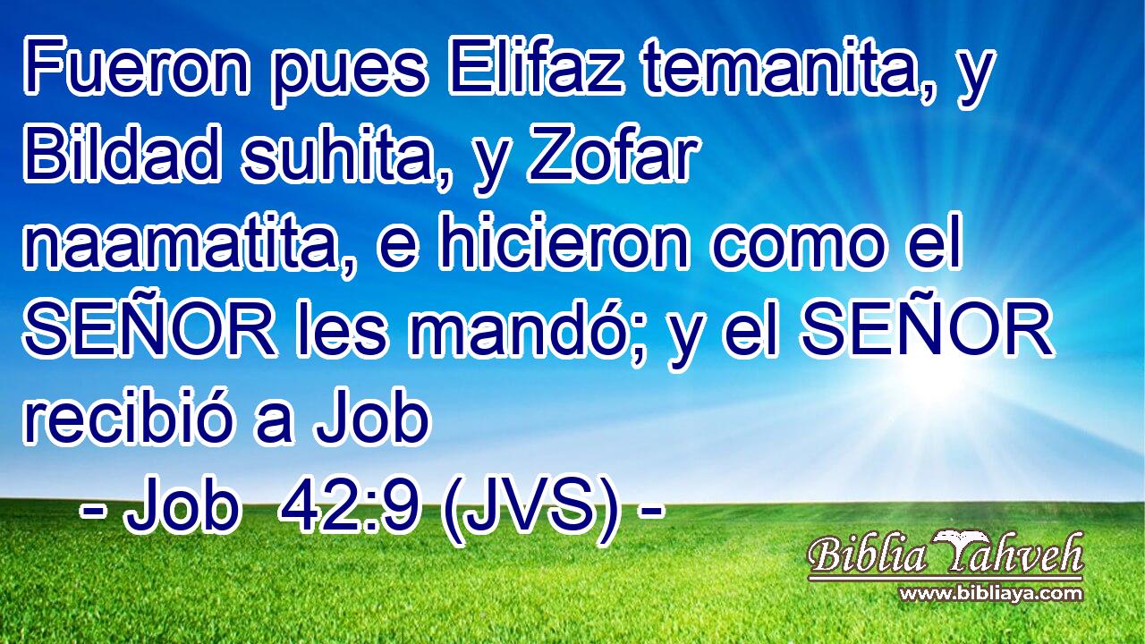 Fueron pues Elifaz temanita, y Bildad suhita, y Zofar naamatita, e hicieron como el SEÑOR les mandó; y el SEÑOR recibió a Job