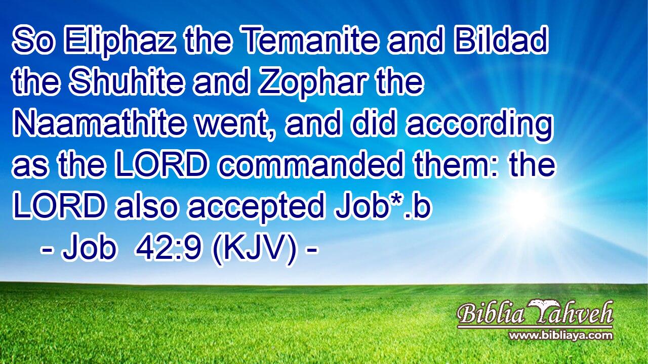 So Eliphaz the Temanite and Bildad the Shuhite and Zophar the Naamathite went, and did according as the LORD commanded them: the LORD also accepted Job*.b