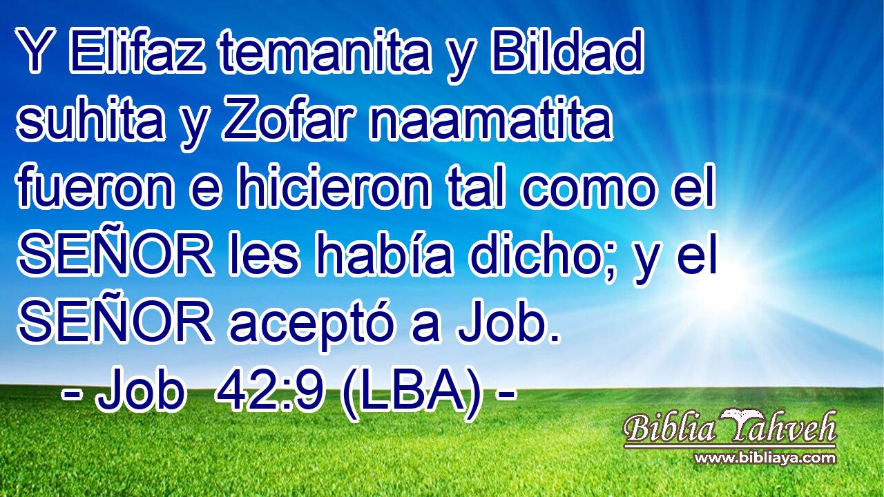 Y Elifaz temanita y Bildad suhita y Zofar naamatita fueron e hicieron tal como el SEÑOR les había dicho; y el SEÑOR aceptó a Job.