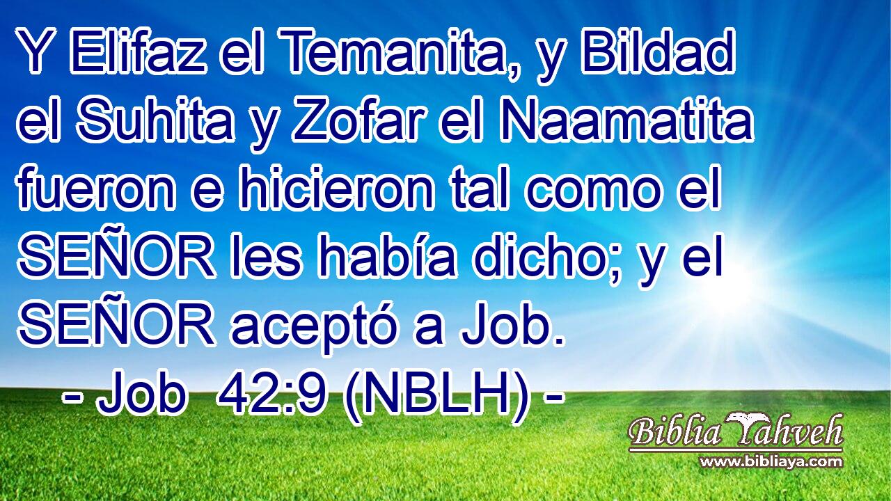  Y Elifaz el Temanita, y Bildad el Suhita y Zofar el Naamatita fueron e hicieron tal como el SEÑOR les había dicho; y el SEÑOR aceptó a Job. 