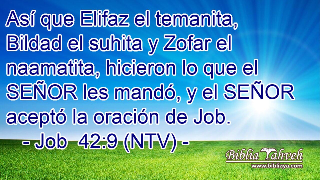 Así que Elifaz el temanita, Bildad el suhita y Zofar el naamatita, hicieron lo que el SEÑOR les mandó, y el SEÑOR aceptó la oración de Job.
