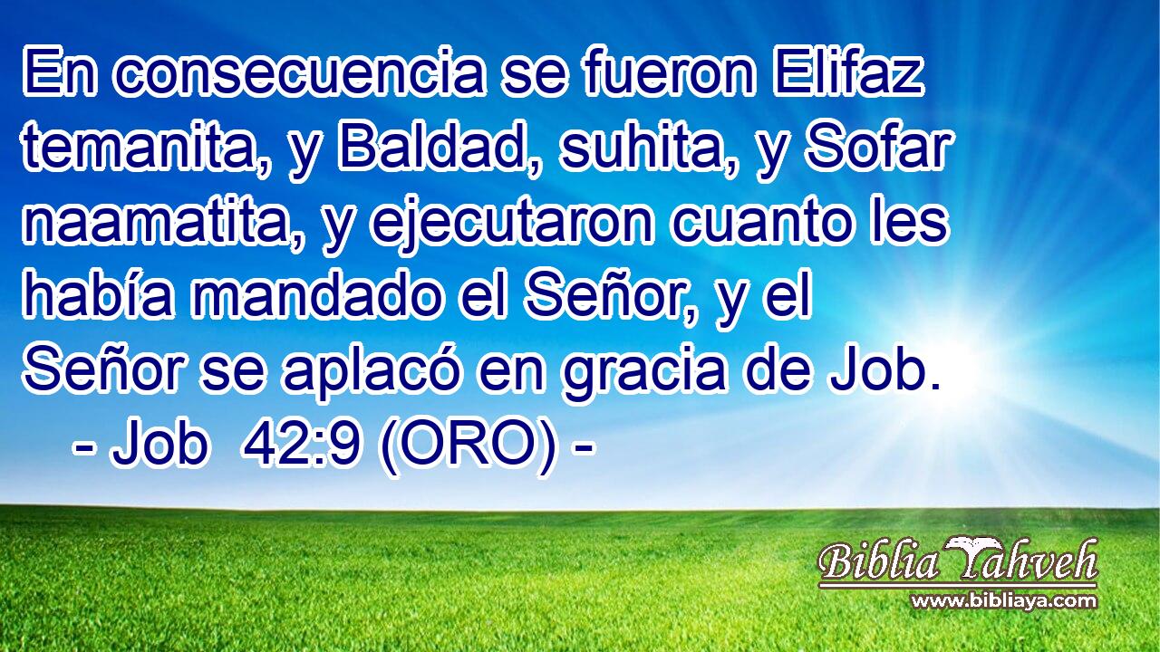  En consecuencia se fueron Elifaz temanita, y Baldad, suhita, y Sofar naamatita, y ejecutaron cuanto les había mandado el Señor, y el Señor se aplacó en gracia de Job. 