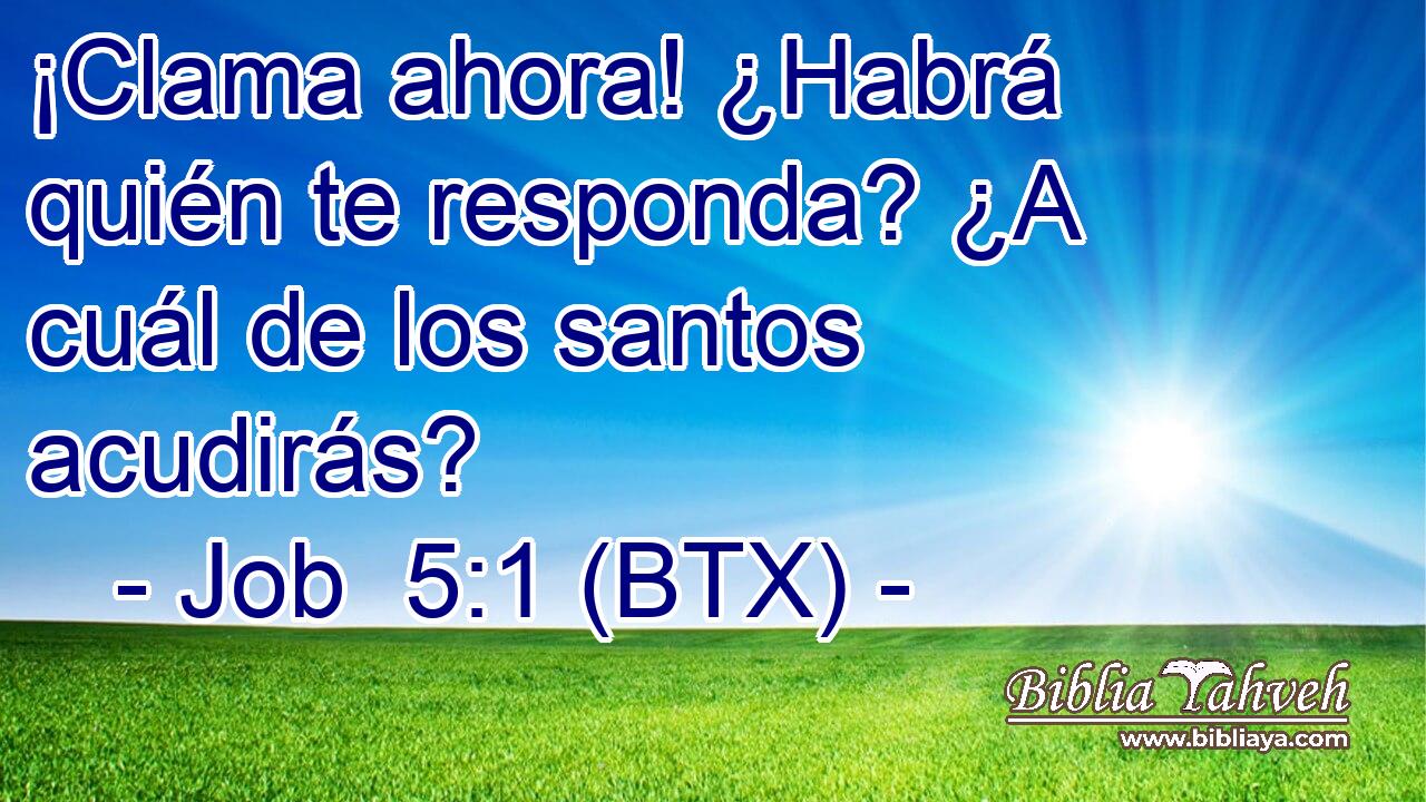 ¡Clama ahora! ¿Habrá quién te responda? ¿A cuál de los santos acudirás?