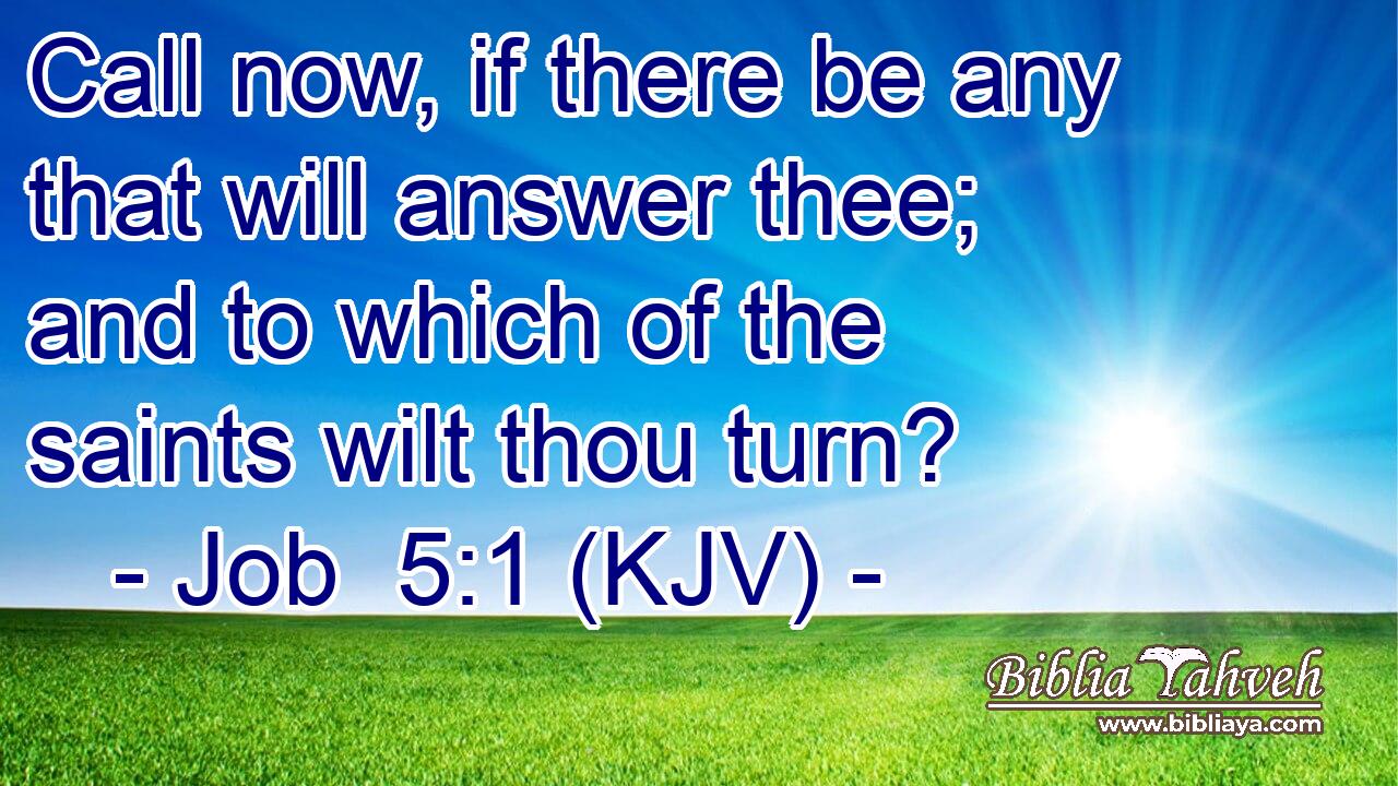 Call now, if there be any that will answer thee; and to which of the saints wilt thou turn?