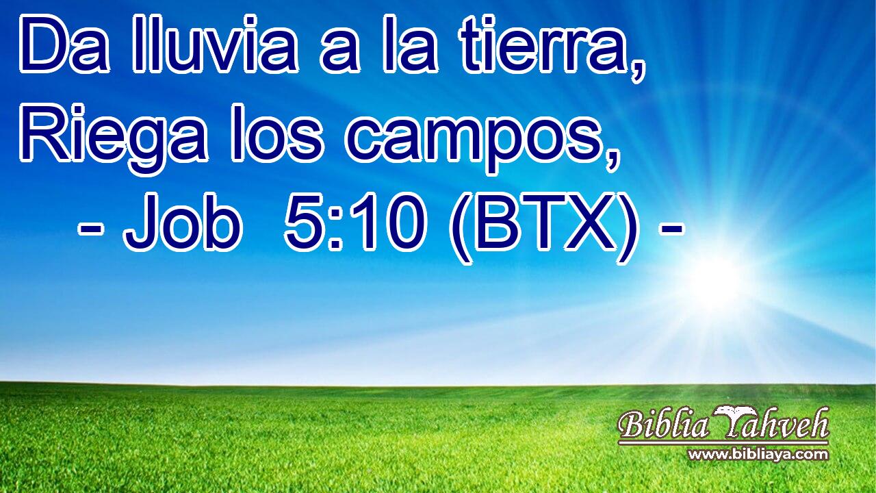 Da lluvia a la tierra, Riega los campos,