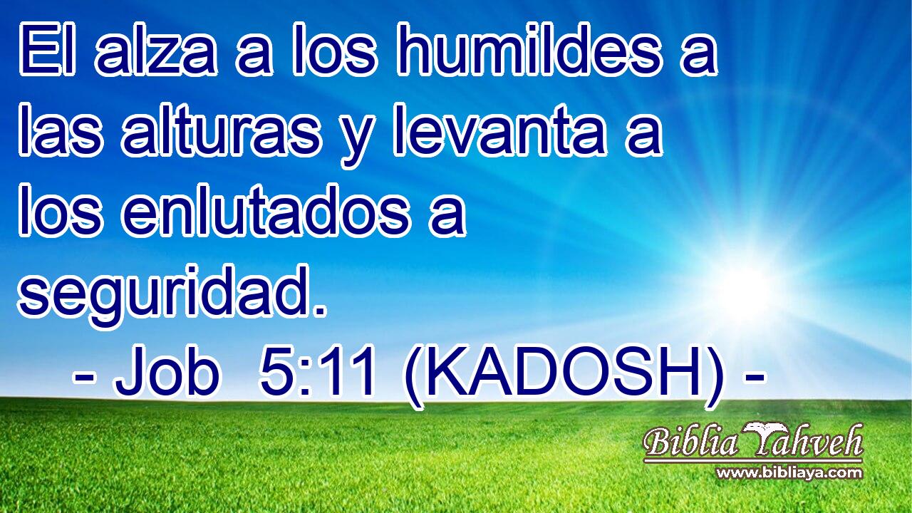  El alza a los humildes a las alturas y levanta a los enlutados a seguridad. 