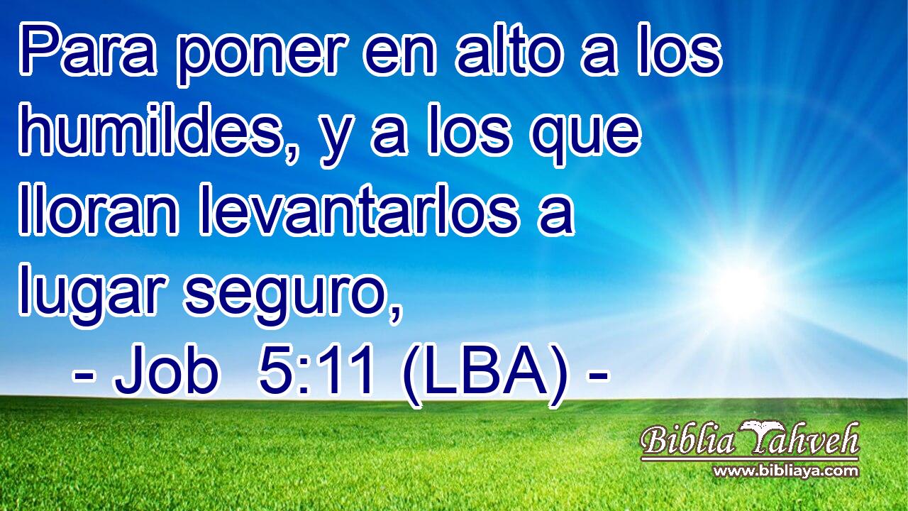 Para poner en alto a los humildes, y a los que lloran levantarlos a lugar seguro,