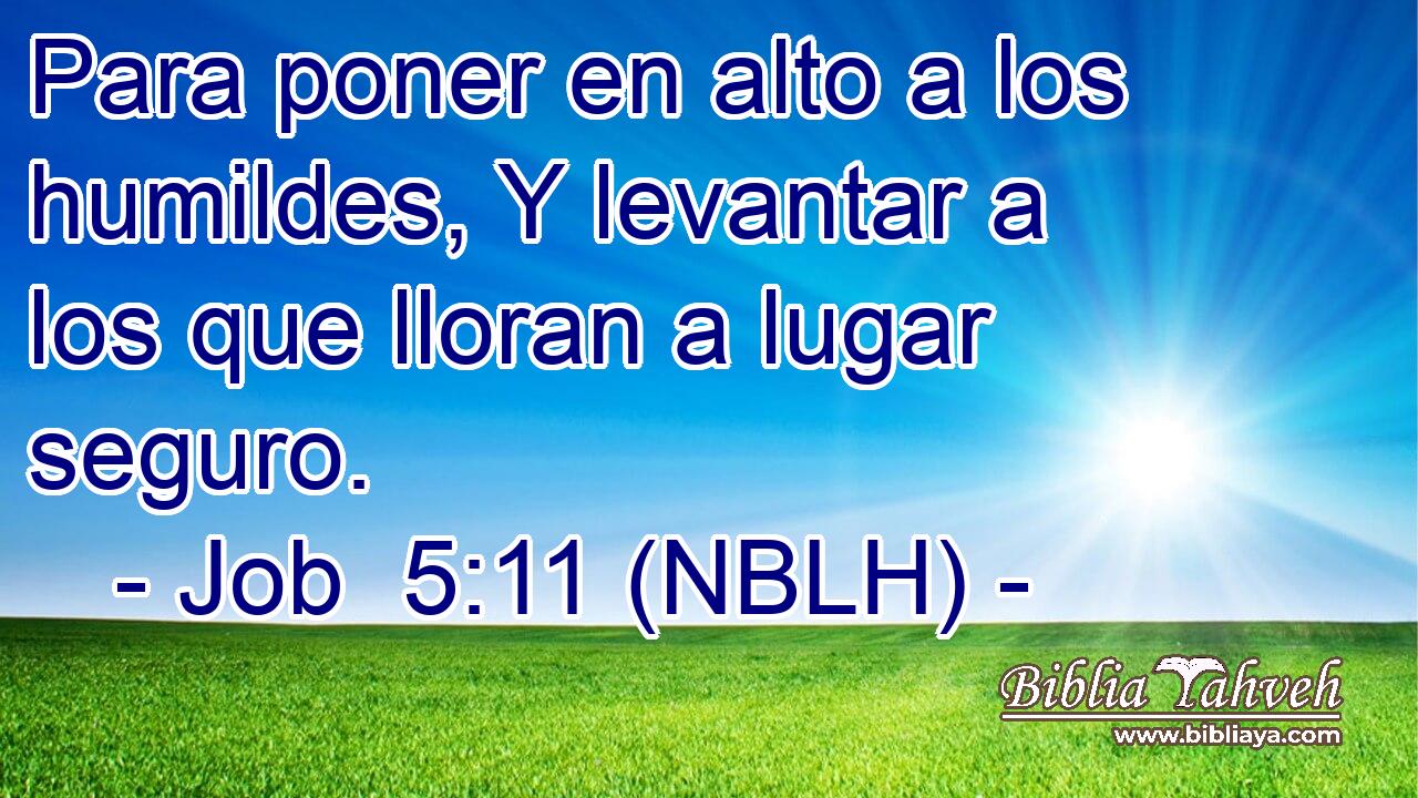  Para poner en alto a los humildes, Y levantar a los que lloran a lugar seguro. 