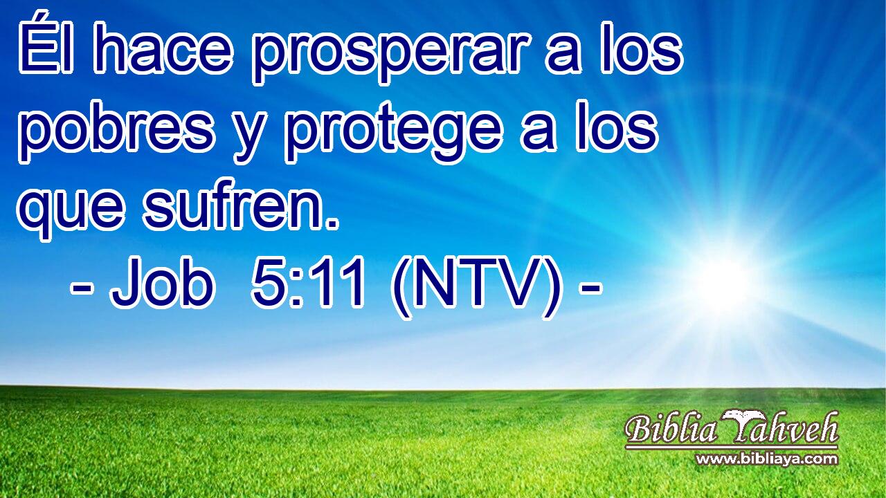 Él hace prosperar a los pobres y protege a los que sufren.