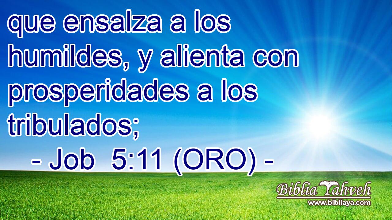  que ensalza a los humildes, y alienta con prosperidades a los tribulados; 