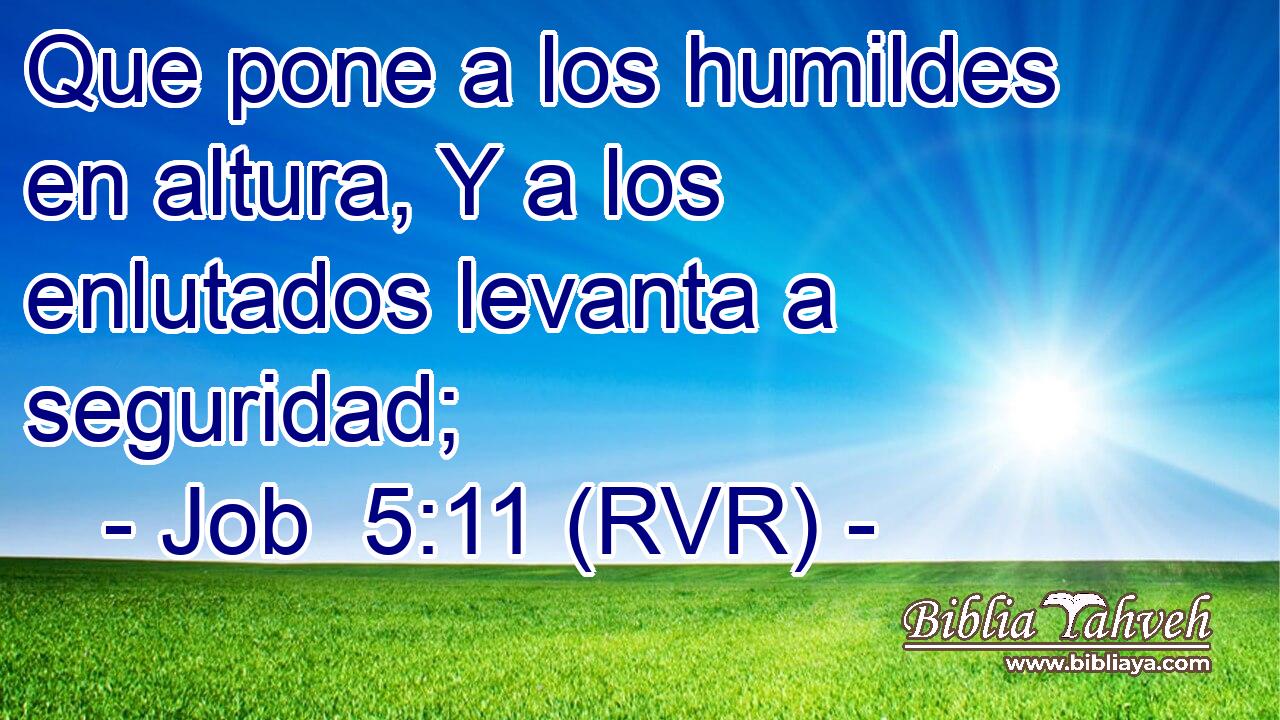 Que pone a los humildes en altura, Y a los enlutados levanta a seguridad;