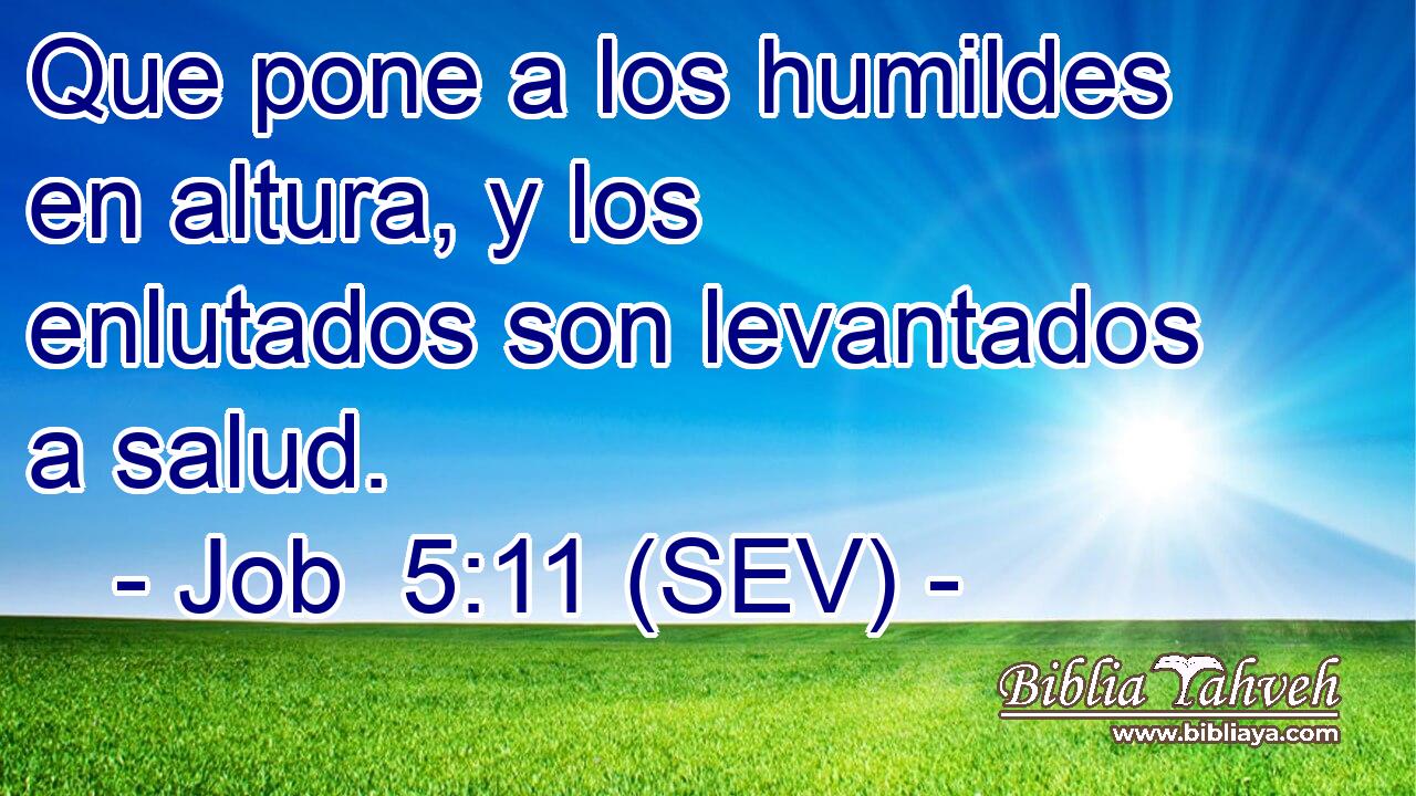 Que pone a los humildes en altura, y los enlutados son levantados a salud.