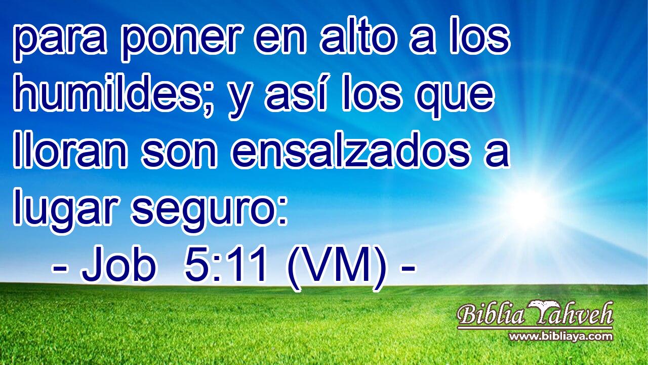  para poner en alto a los humildes; y así los que lloran son ensalzados a lugar seguro: 