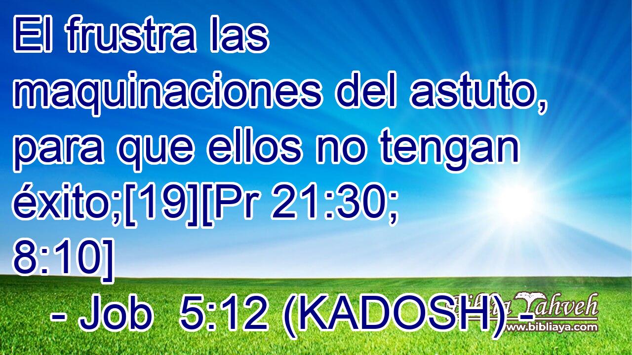  El frustra las maquinaciones del astuto, para que ellos no tengan éxito;[19][Pr 21:30; 8:10] 