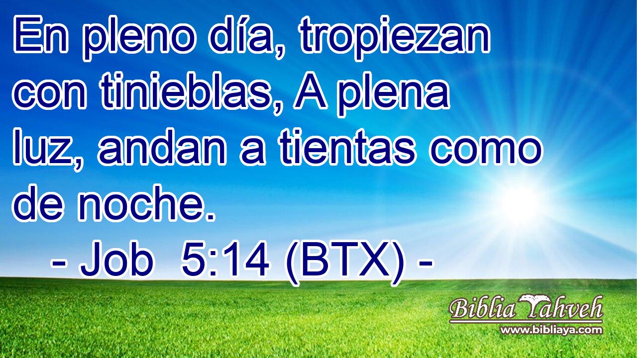 En pleno día, tropiezan con tinieblas, A plena luz, andan a tientas como de noche.