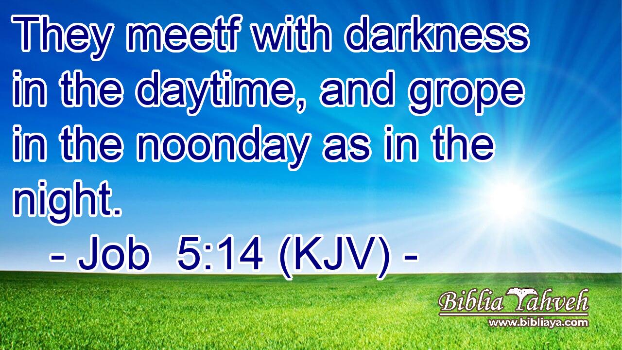 They meetf with darkness in the daytime, and grope in the noonday as in the night.