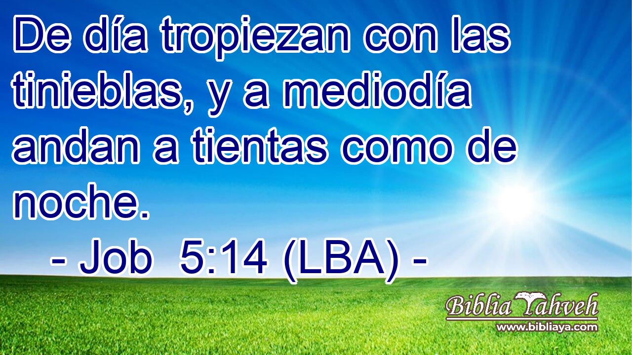 De día tropiezan con las tinieblas, y a mediodía andan a tientas como de noche.