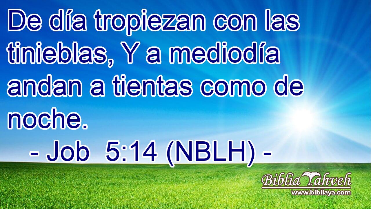  De día tropiezan con las tinieblas, Y a mediodía andan a tientas como de noche. 