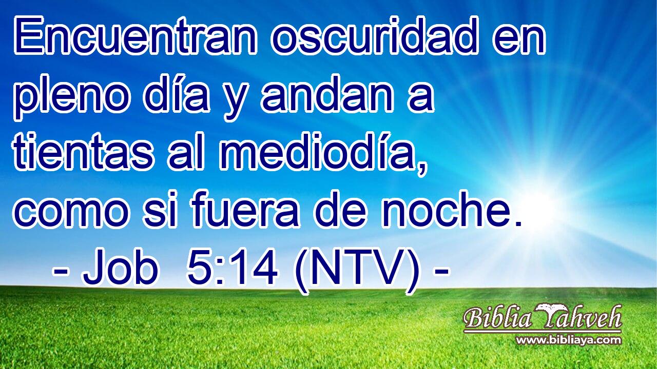 Encuentran oscuridad en pleno día y andan a tientas al mediodía, como si fuera de noche.