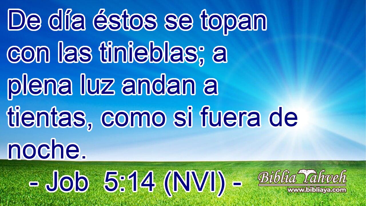  De día éstos se topan con las tinieblas; a plena luz andan a tientas, como si fuera de noche. 