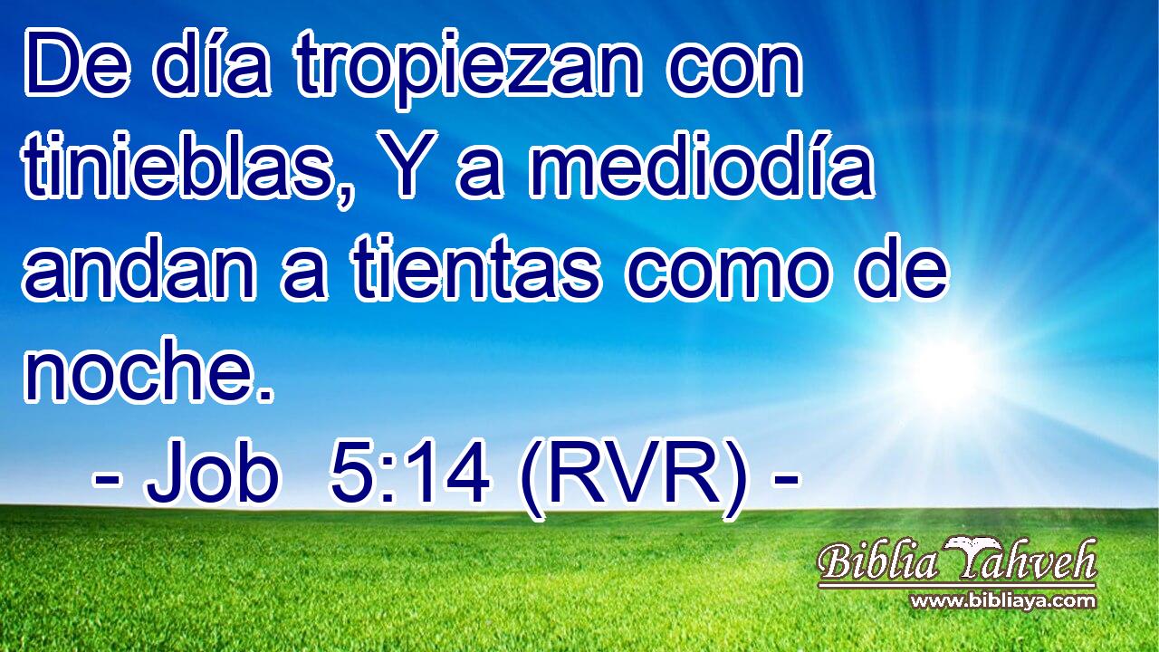 De día tropiezan con tinieblas, Y a mediodía andan a tientas como de noche.