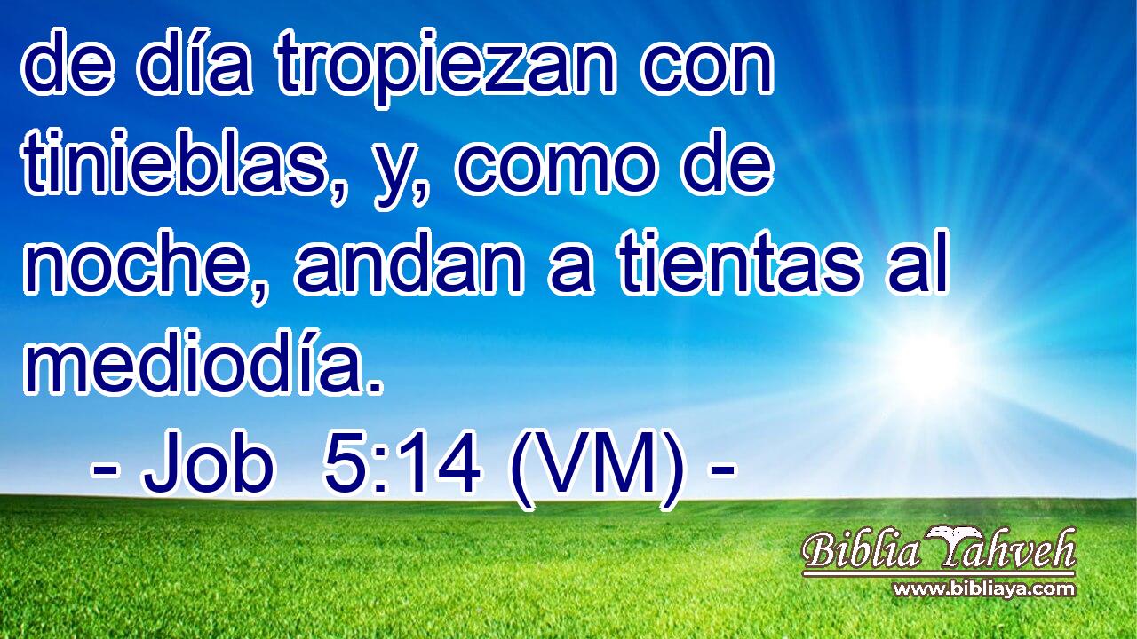  de día tropiezan con tinieblas, y, como de noche, andan a tientas al mediodía. 