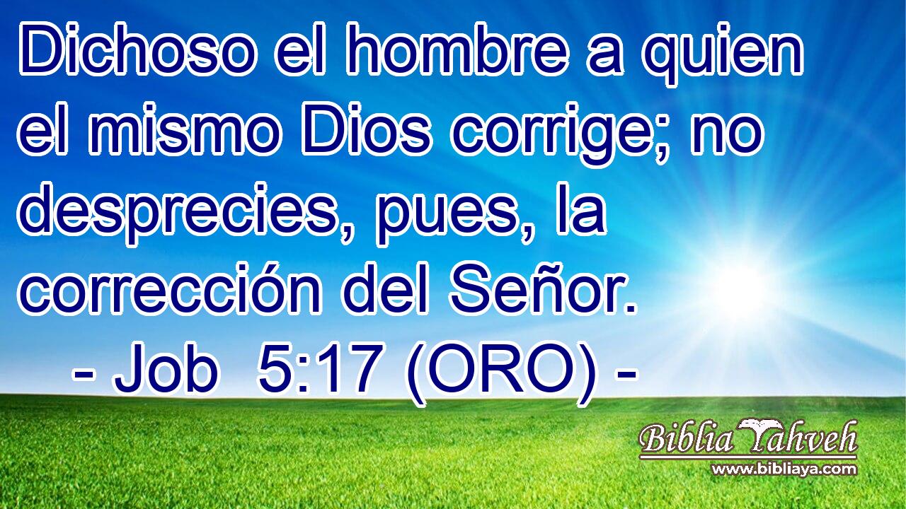  Dichoso el hombre a quien el mismo Dios corrige; no desprecies, pues, la corrección del Señor. 
