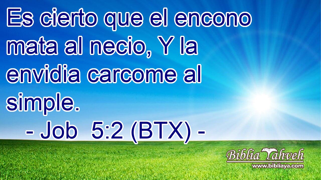 Es cierto que el encono mata al necio, Y la envidia carcome al simple.