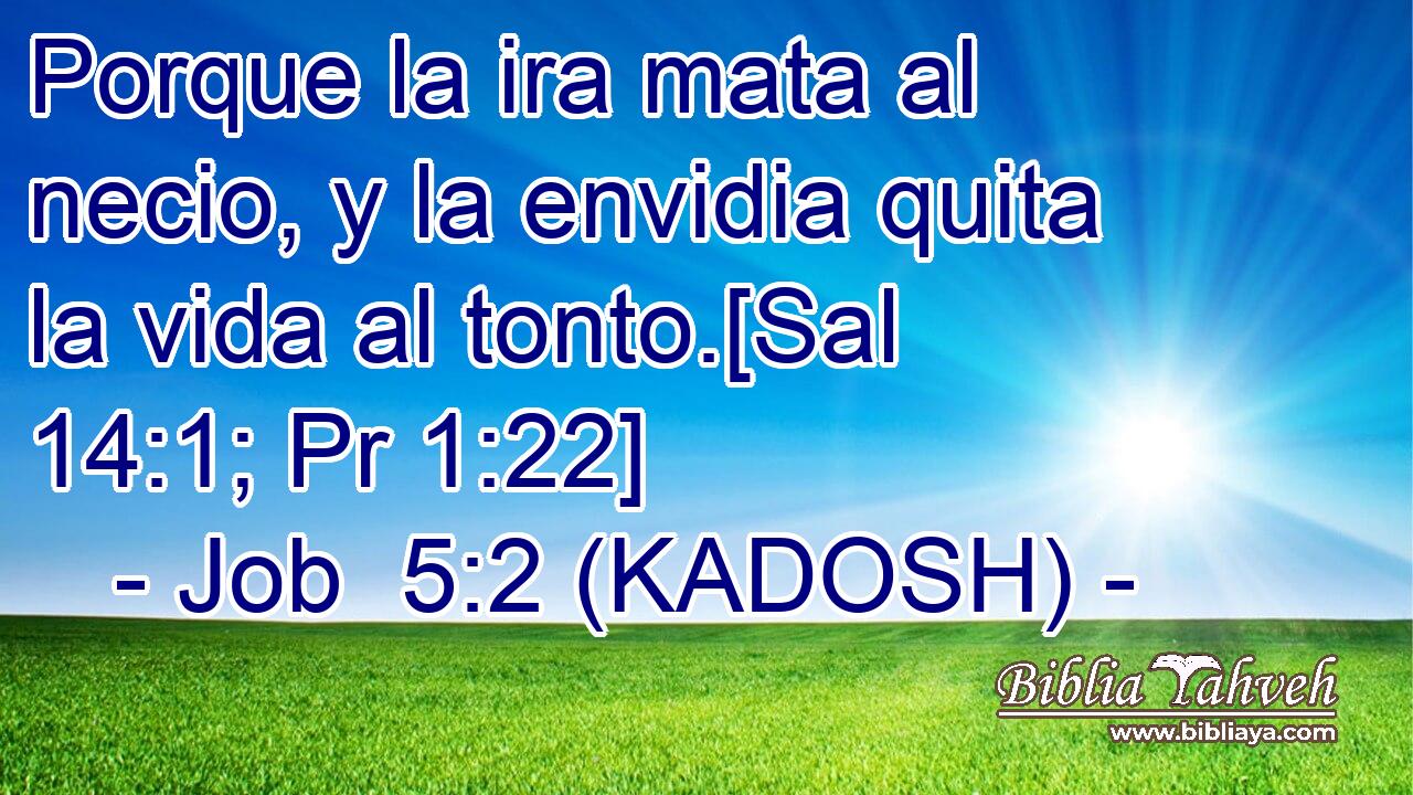  Porque la ira mata al necio, y la envidia quita la vida al tonto.[Sal 14:1; Pr 1:22] 