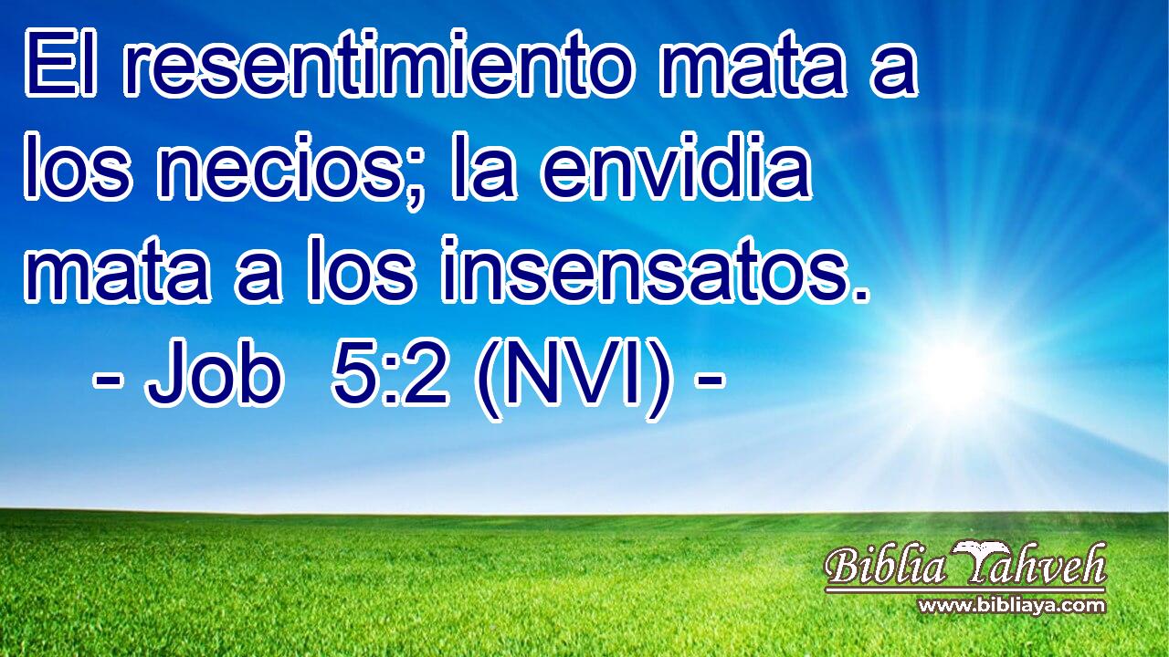  El resentimiento mata a los necios; la envidia mata a los insensatos. 