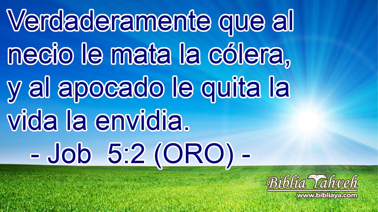  Verdaderamente que al necio le mata la cólera, y al apocado le quita la vida la envidia. 