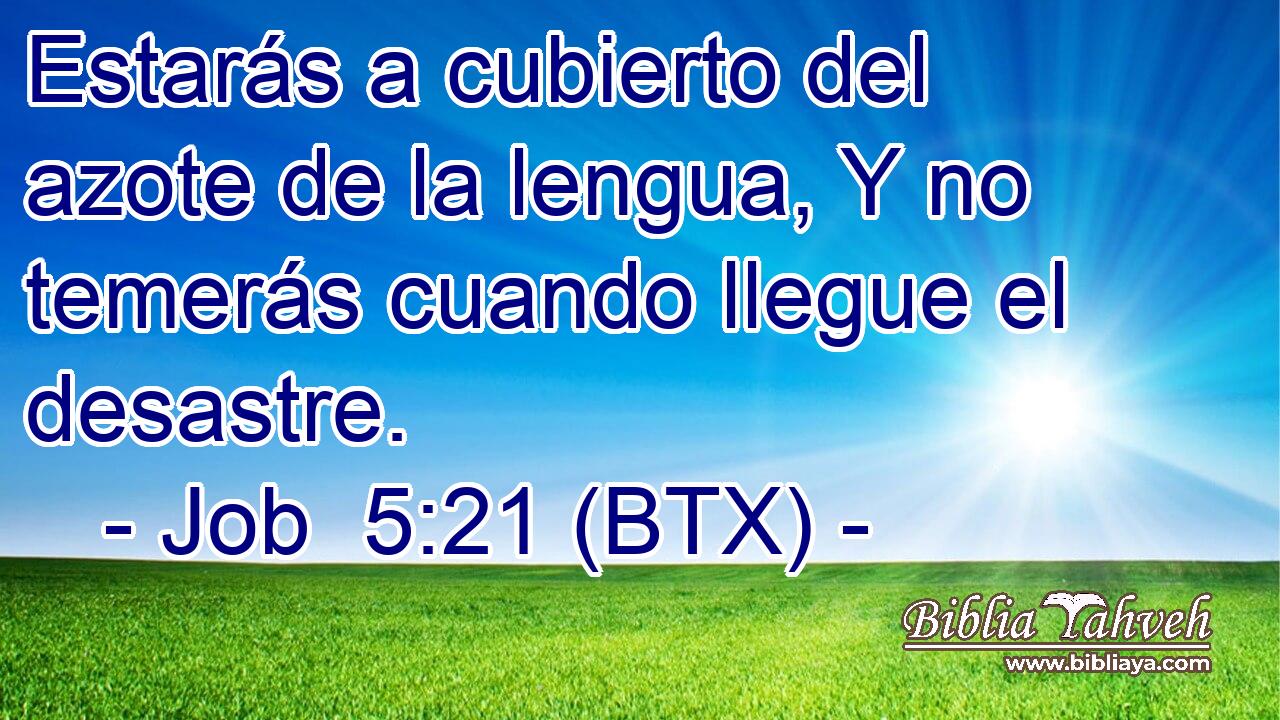 Estarás a cubierto del azote de la lengua, Y no temerás cuando llegue el desastre.
