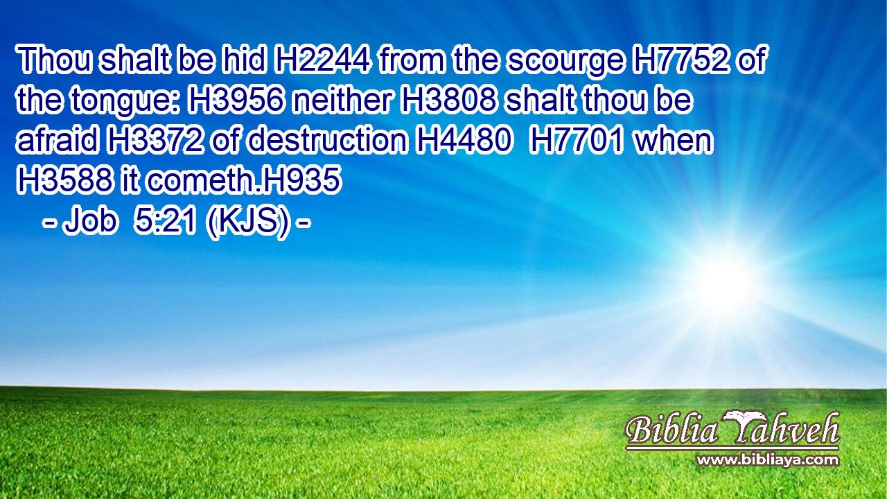 Thou shalt be hid H2244 from the scourge H7752 of the tongue: H3956 neither H3808 shalt thou be afraid H3372 of destruction H4480  H7701 when H3588 it cometh.H935