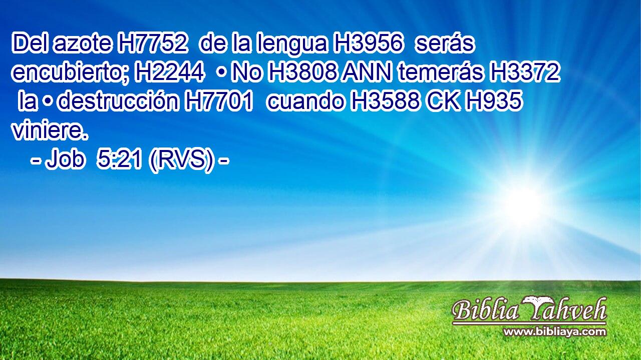 Del azote H7752  de la lengua H3956  serás encubierto; H2244  • No H3808 ANN temerás H3372  la • destrucción H7701  cuando H3588 CK H935 viniere. 