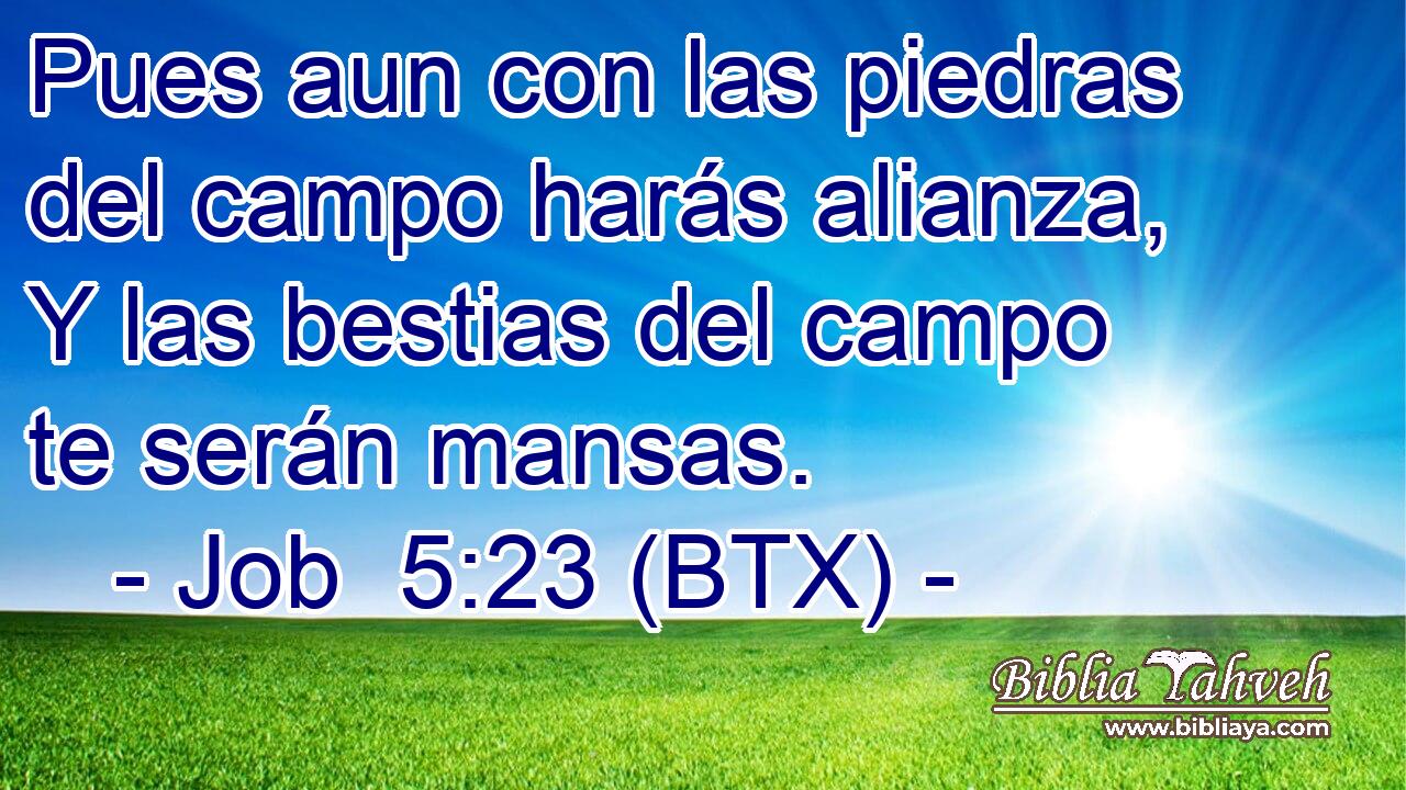 Pues aun con las piedras del campo harás alianza, Y las bestias del campo te serán mansas.