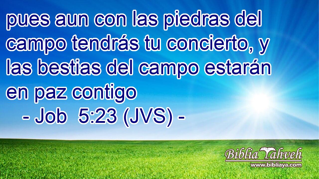 pues aun con las piedras del campo tendrás tu concierto, y las bestias del campo estarán en paz contigo
