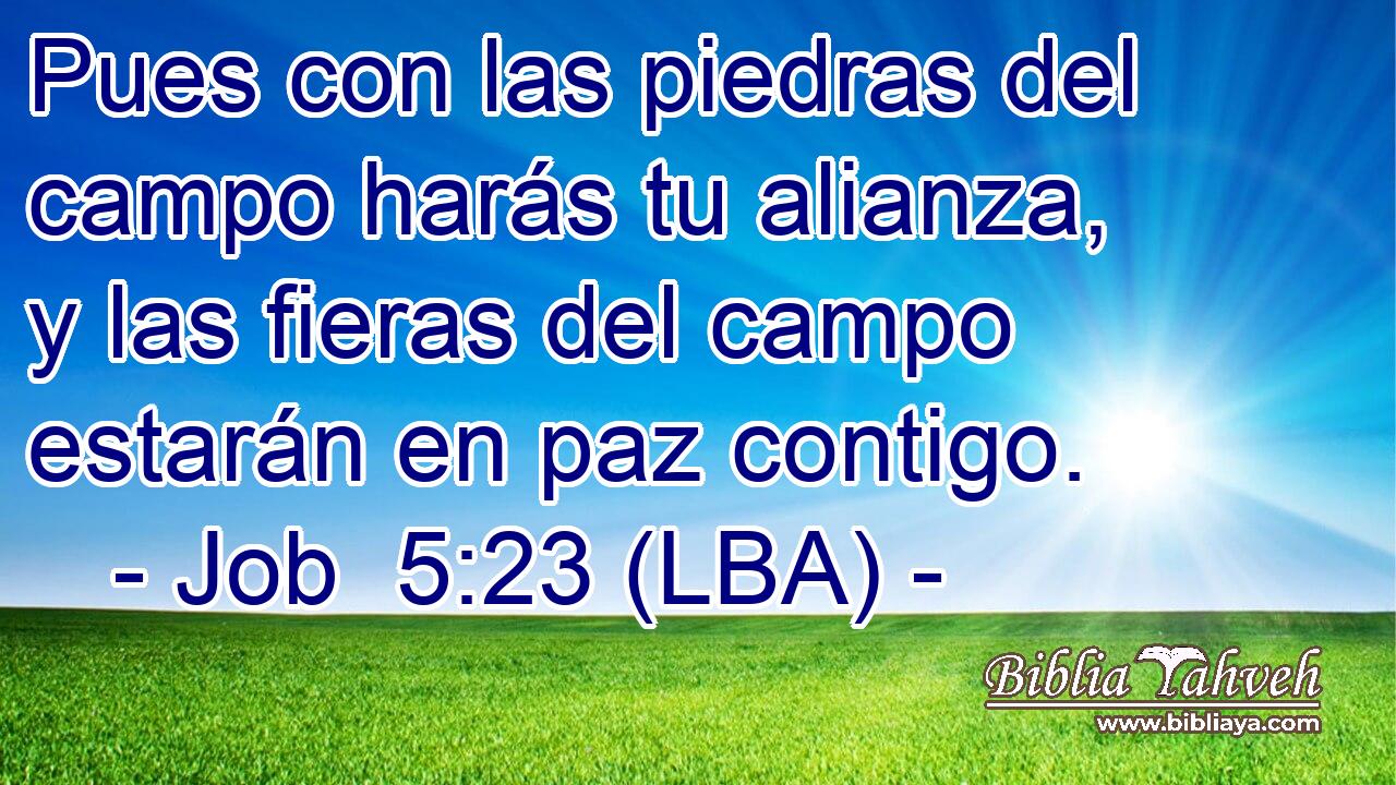 Pues con las piedras del campo harás tu alianza, y las fieras del campo estarán en paz contigo.