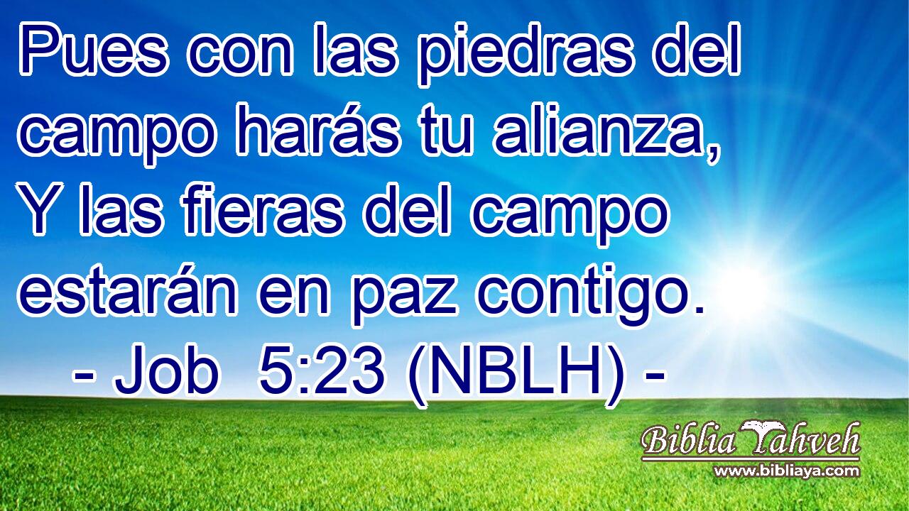  Pues con las piedras del campo harás tu alianza, Y las fieras del campo estarán en paz contigo. 